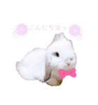 michochii 1（個別スタンプ：11）