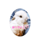 michochii 1（個別スタンプ：17）