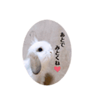 michochii 1（個別スタンプ：21）