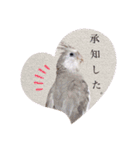 michochii 1（個別スタンプ：22）