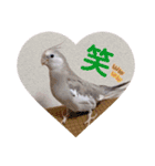 michochii 1（個別スタンプ：24）