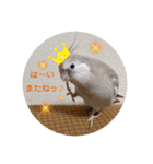 michochii 1（個別スタンプ：25）