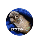 michochii 1（個別スタンプ：28）