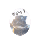 michochii 1（個別スタンプ：29）