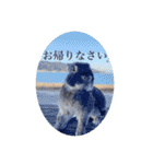 michochii 1（個別スタンプ：35）