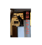 テンちゃんスタンプその4（個別スタンプ：2）