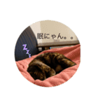 テンちゃんスタンプその4（個別スタンプ：12）