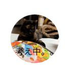 テンちゃんスタンプその4（個別スタンプ：14）