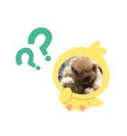 Mi-Ru-Ko（個別スタンプ：4）