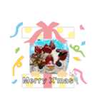 YuiSashihara（個別スタンプ：1）