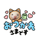 フェレットのしらたま（個別スタンプ：16）