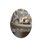 同居人のイタチ 第二弾（個別スタンプ：23）
