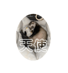 同居人のイタチ 第二弾（個別スタンプ：29）