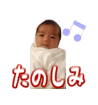 はるま’sスタンプ（個別スタンプ：13）