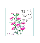 ミチコばあば NO23  秋の花 B（個別スタンプ：4）