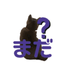 ペットで代弁②（個別スタンプ：5）