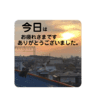 ペットで代弁②（個別スタンプ：8）