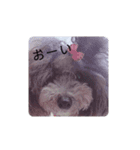 めいの幸せな毎日の日常（個別スタンプ：8）