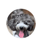めいの幸せな毎日の日常（個別スタンプ：9）