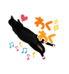 黒猫にこの日常使いスタンプ（個別スタンプ：4）