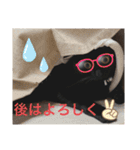 黒猫にこの日常使いスタンプ（個別スタンプ：8）