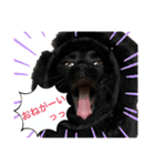 黒猫にこの日常使いスタンプ（個別スタンプ：14）