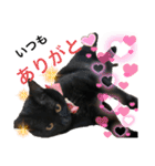 黒猫にこの日常使いスタンプ（個別スタンプ：15）