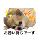 黒猫にこの日常使いスタンプ（個別スタンプ：23）