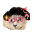 黒猫にこの日常使いスタンプ（個別スタンプ：24）