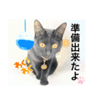 黒猫にこの日常使いスタンプ（個別スタンプ：39）