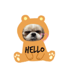 カムイくん（個別スタンプ：5）