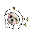 カムイくん（個別スタンプ：6）