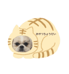 カムイくん（個別スタンプ：9）