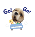 カムイくん（個別スタンプ：16）