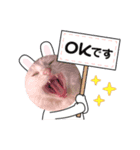 キキララくん（個別スタンプ：5）
