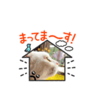 キキララくん（個別スタンプ：6）