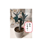 キンちゃんとドラちゃん（個別スタンプ：5）