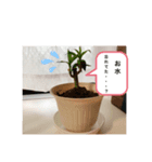 キンちゃんとドラちゃん（個別スタンプ：6）
