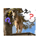 風景に噴き出しで、つぶやき（個別スタンプ：8）