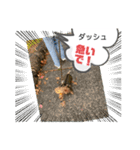 風景に噴き出しで、つぶやき（個別スタンプ：12）