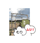 風景に噴き出しで、つぶやき（個別スタンプ：15）