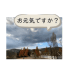風景に噴き出しで、つぶやき（個別スタンプ：16）