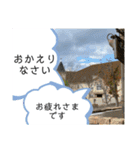 風景に噴き出しで、つぶやき（個別スタンプ：19）
