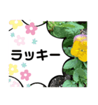 風景に噴き出しで、つぶやき（個別スタンプ：20）