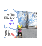 風景に噴き出しで、つぶやき（個別スタンプ：21）