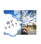 風景に噴き出しで、つぶやき（個別スタンプ：23）