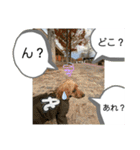 風景に噴き出しで、つぶやき（個別スタンプ：24）