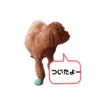 うちのいぬいぬスタンプ（個別スタンプ：5）