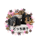 ばにもずすたんぷ（個別スタンプ：9）