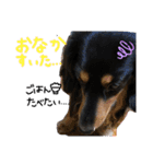 ばにもずすたんぷ（個別スタンプ：11）
